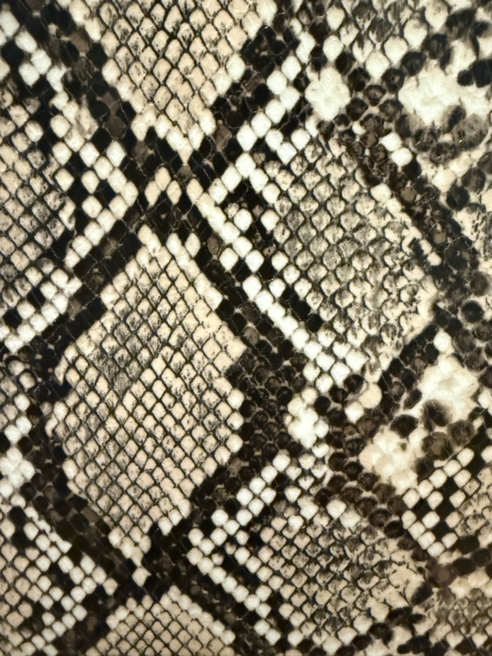 Zara Snake-Print Knee-High Boots in Black and Cream - Picture 4 of 4